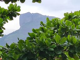 https://img.olx.com.br/thumbs256x256/71/710416366181425.jpg
