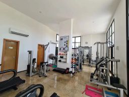 https://img.olx.com.br/thumbs256x256/71/710551529726928.jpg