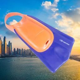 https://img.olx.com.br/thumbs256x256/71/710627338703327.jpg