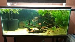 Aqu�rio