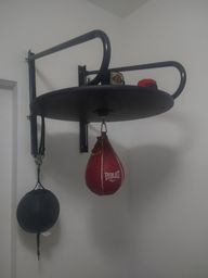 teto solo everlast