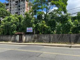 https://img.olx.com.br/thumbs256x256/71/711626797235423.jpg