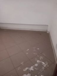 https://img.olx.com.br/thumbs256x256/71/712409594947454.jpg