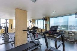 https://img.olx.com.br/thumbs256x256/71/712579885239530.jpg