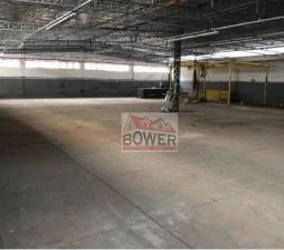https://img.olx.com.br/thumbs256x256/71/713562168509265.jpg