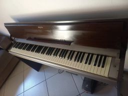 https://img.olx.com.br/thumbs256x256/71/714513510887845.jpg