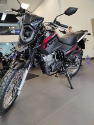 https://img.olx.com.br/thumbs256x256/71/715569760229417.jpg