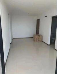 https://img.olx.com.br/thumbs256x256/71/715592875751270.jpg