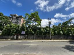 https://img.olx.com.br/thumbs256x256/71/715617910519713.jpg
