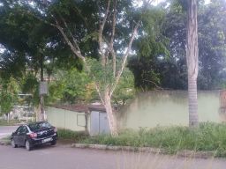 https://img.olx.com.br/thumbs256x256/71/715636321170767.jpg
