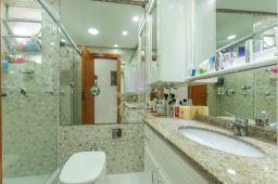 https://img.olx.com.br/thumbs256x256/71/717548286770220.jpg