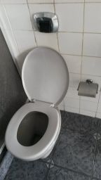 https://img.olx.com.br/thumbs256x256/71/718511743533072.jpg