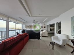 https://img.olx.com.br/thumbs256x256/71/718585043361851.jpg