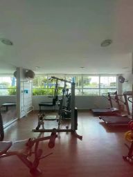 https://img.olx.com.br/thumbs256x256/71/719524642615803.jpg