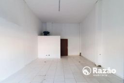 https://img.olx.com.br/thumbs256x256/72/720570648225000.jpg