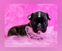 Título do anúncio: Bulldog francês fêmea apaixonante (imagens originais) no Namu Royal 