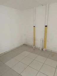https://img.olx.com.br/thumbs256x256/72/724511407912899.jpg
