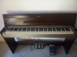 https://img.olx.com.br/thumbs256x256/72/724526273951477.jpg