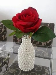 https://img.olx.com.br/thumbs256x256/72/725445265375602.jpg