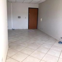 https://img.olx.com.br/thumbs256x256/72/726513155313589.jpg
