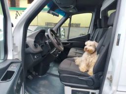 https://img.olx.com.br/thumbs256x256/72/727693252505918.jpg