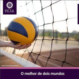 https://img.olx.com.br/thumbs256x256/72/728546525067413.jpg