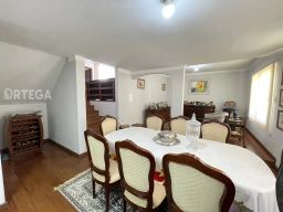 https://img.olx.com.br/thumbs256x256/72/728583403981078.jpg