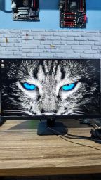 https://img.olx.com.br/thumbs256x256/72/728623314167514.jpg