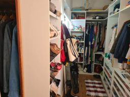 https://img.olx.com.br/thumbs256x256/72/729490726396442.jpg