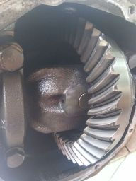 https://img.olx.com.br/thumbs256x256/72/729527860078130.jpg