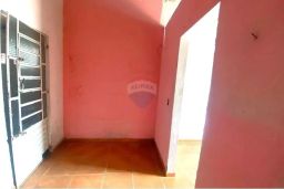 https://img.olx.com.br/thumbs256x256/73/730565160876778.jpg