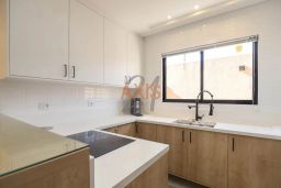 https://img.olx.com.br/thumbs256x256/73/731574763394871.jpg