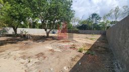 https://img.olx.com.br/thumbs256x256/73/731668532190493.jpg