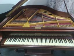 https://img.olx.com.br/thumbs256x256/73/732521121788097.jpg