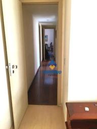 https://img.olx.com.br/thumbs256x256/73/732528159810070.jpg