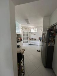 https://img.olx.com.br/thumbs256x256/73/732539272388812.jpg