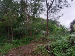 https://img.olx.com.br/thumbs256x256/73/732591042043235.jpg