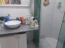 https://img.olx.com.br/thumbs256x256/73/733566526177398.jpg