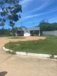 https://img.olx.com.br/thumbs256x256/73/733568403730596.jpg