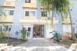 https://img.olx.com.br/thumbs256x256/73/733590649152695.jpg