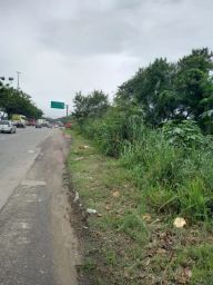 https://img.olx.com.br/thumbs256x256/73/734532769824009.jpg