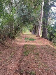 https://img.olx.com.br/thumbs256x256/73/735518154268444.jpg