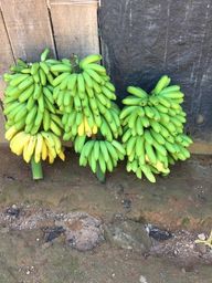 Título do anúncio: Bananas de Espécie 