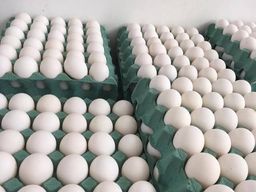 Título do anúncio: Ovos extra cx com 360 unidades 