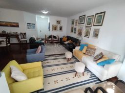 https://img.olx.com.br/thumbs256x256/73/736568528754070.jpg