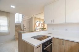 https://img.olx.com.br/thumbs256x256/73/738529160656174.jpg