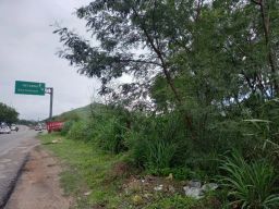 https://img.olx.com.br/thumbs256x256/73/738552523086378.jpg