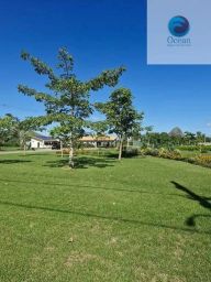 https://img.olx.com.br/thumbs256x256/73/738572287026719.jpg