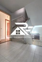 https://img.olx.com.br/thumbs256x256/73/739551393888612.jpg