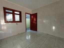 https://img.olx.com.br/thumbs256x256/73/739562168522576.jpg
